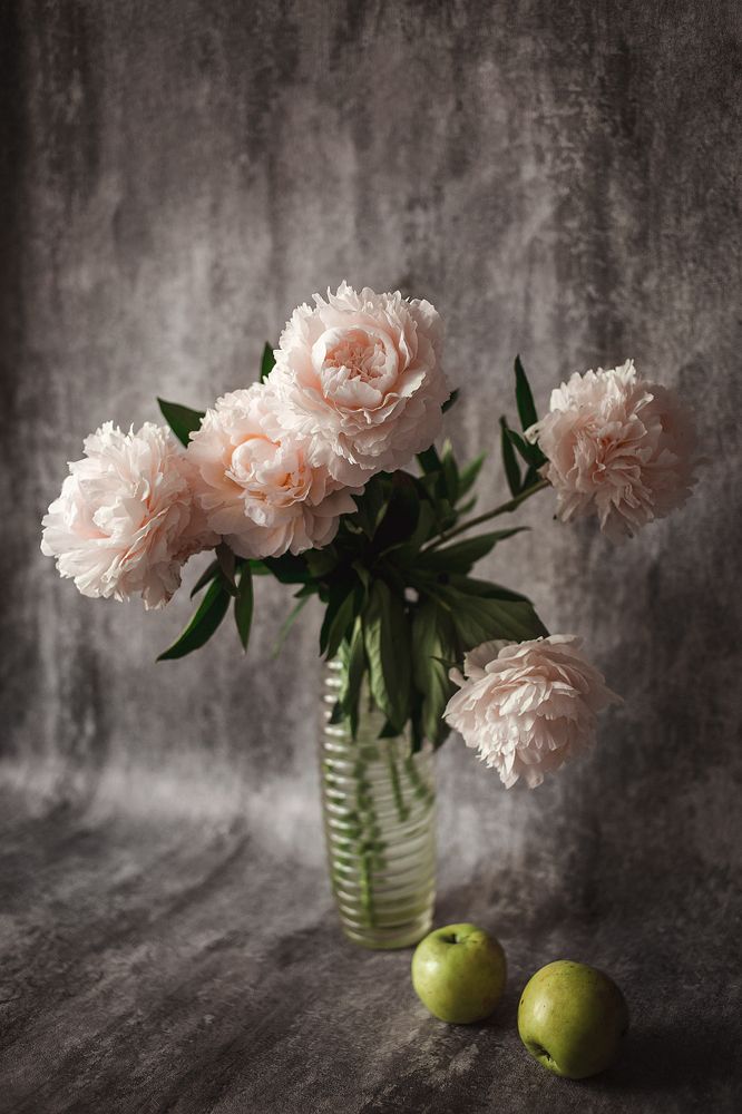 теплое утро