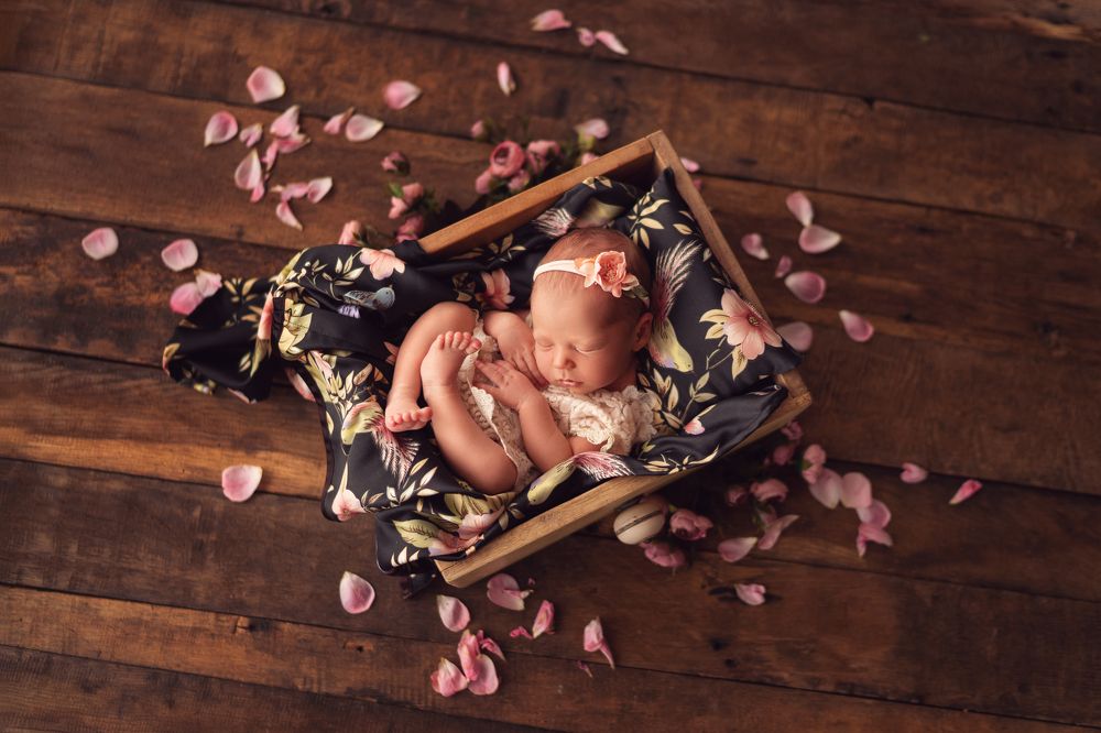 Photograph by Tara Bergmane