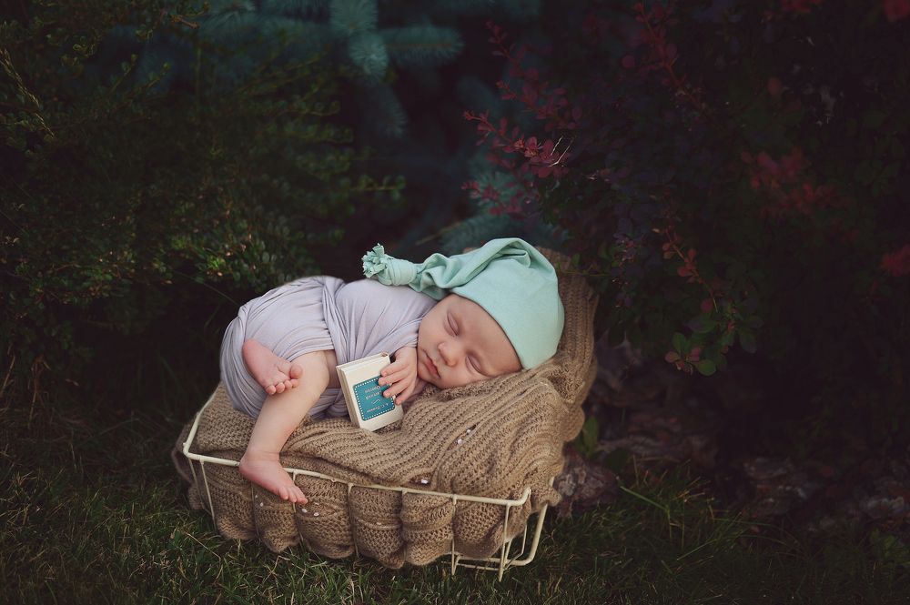 Как я провел лето..