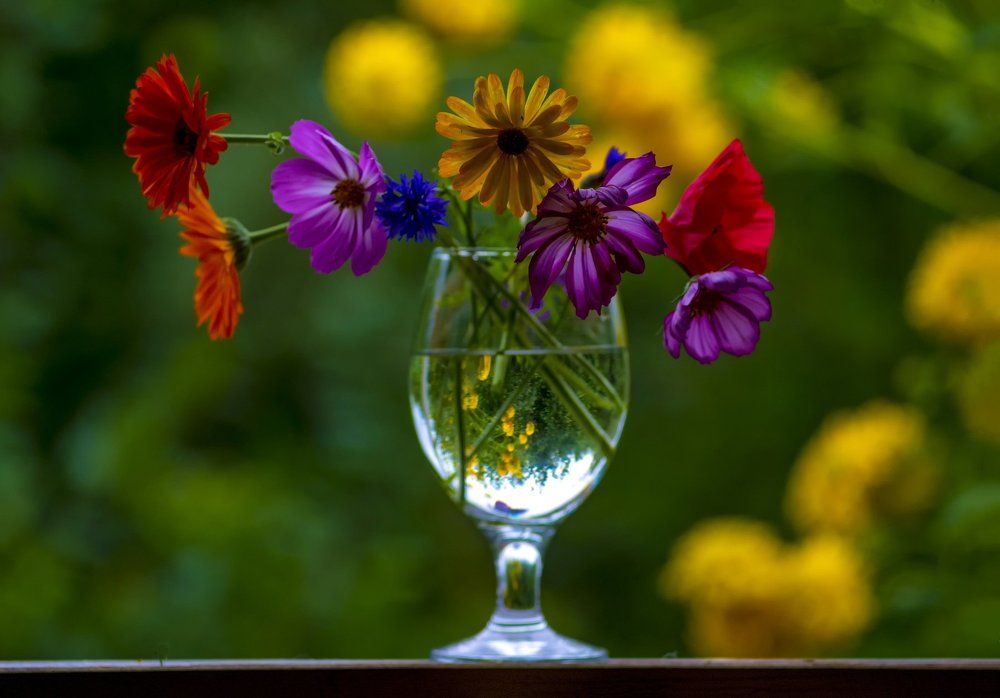 случайный натюрморт