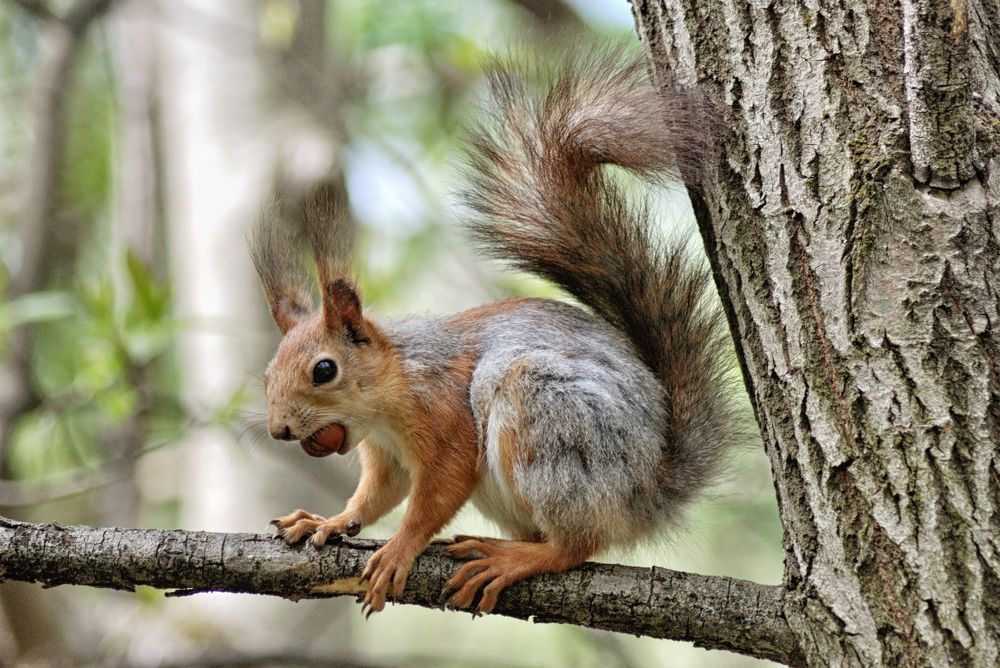 Photograph by Виктор Печищев