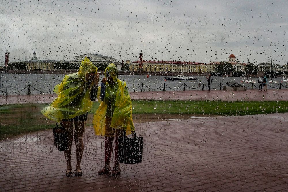 В Петербурге сегодня дожди...