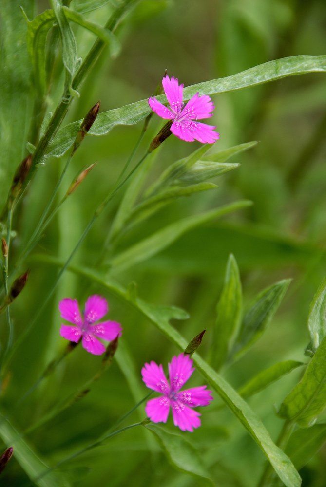 Photograph by Ольга Веткина