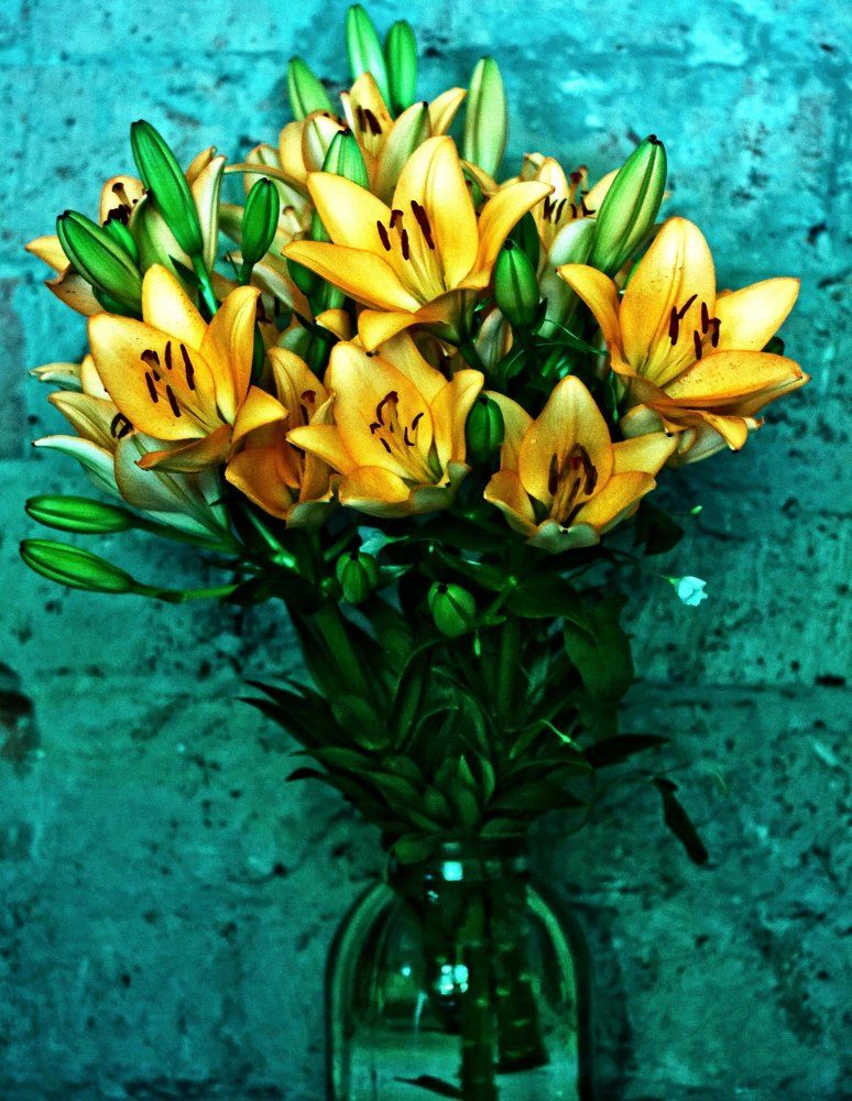 Лилии в балоне