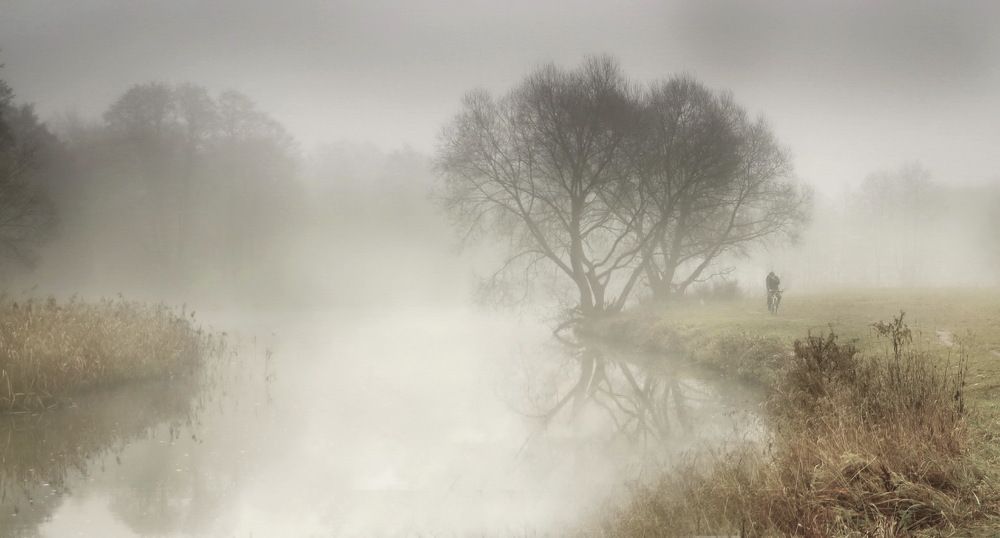 Осеннее утро