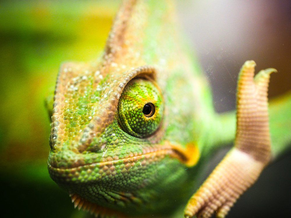 Photograph by Андрей Кульков