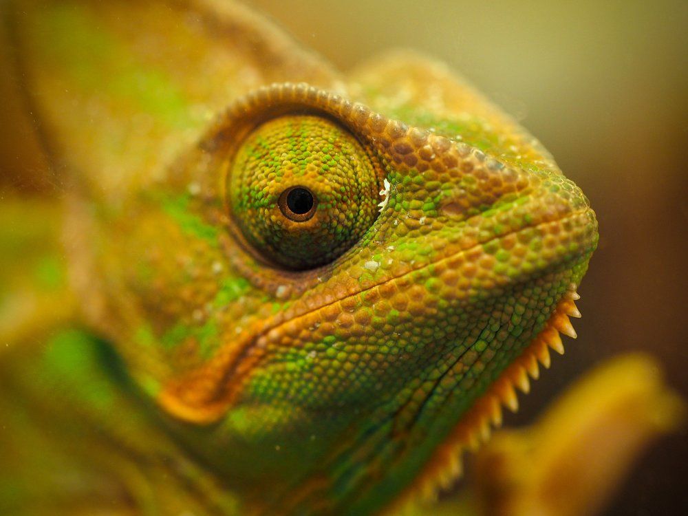 Photograph by Андрей Кульков