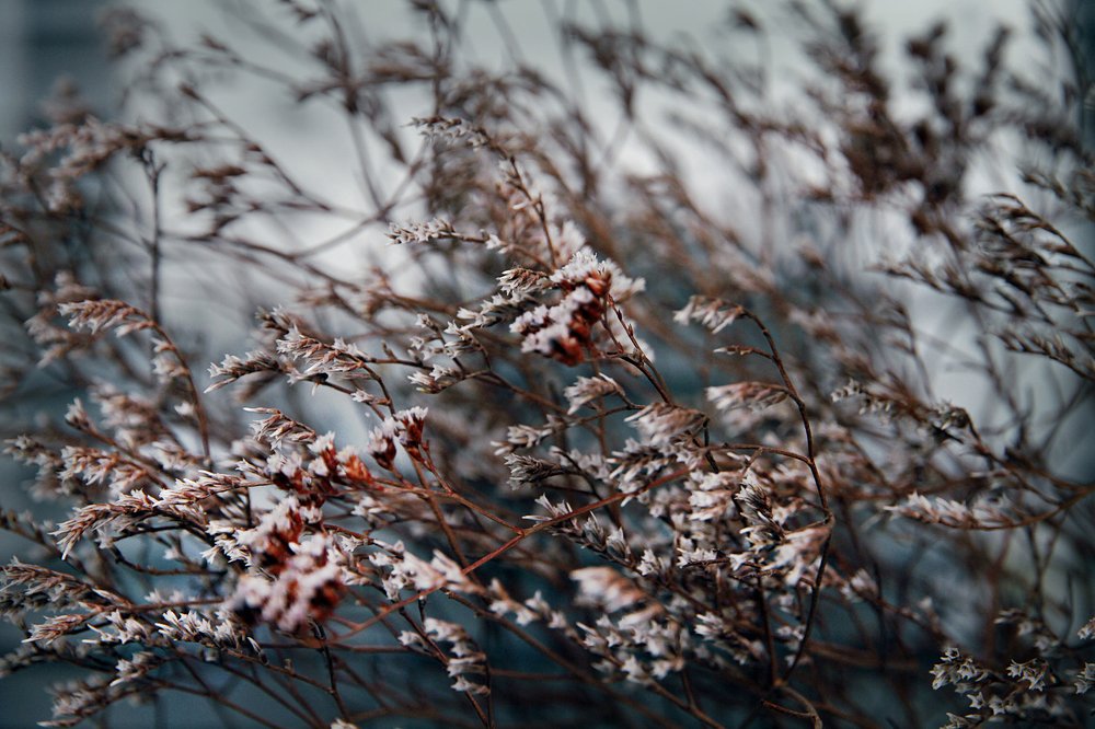 Photograph by Станислав Ситников