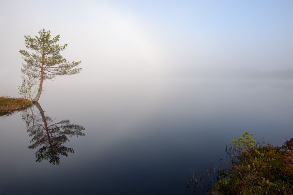 Туманная белая радуга
