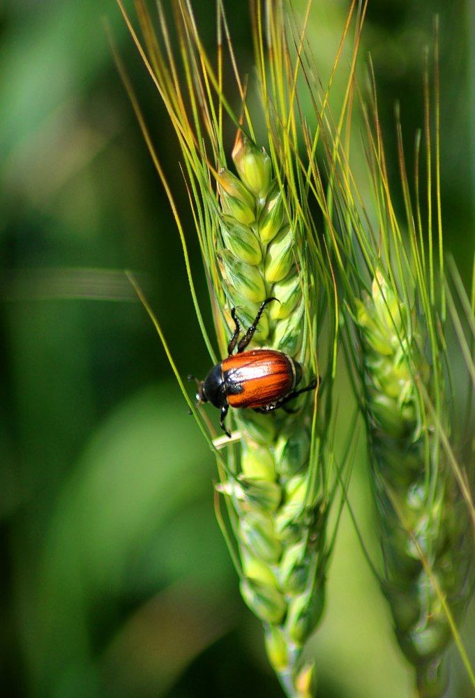 Фотография автора Дмитрий Маккеев