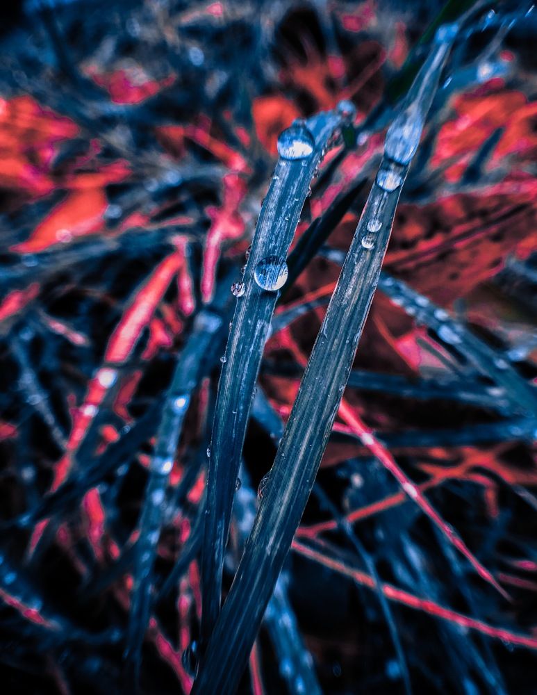 every beautiful thing is in the detail❤️