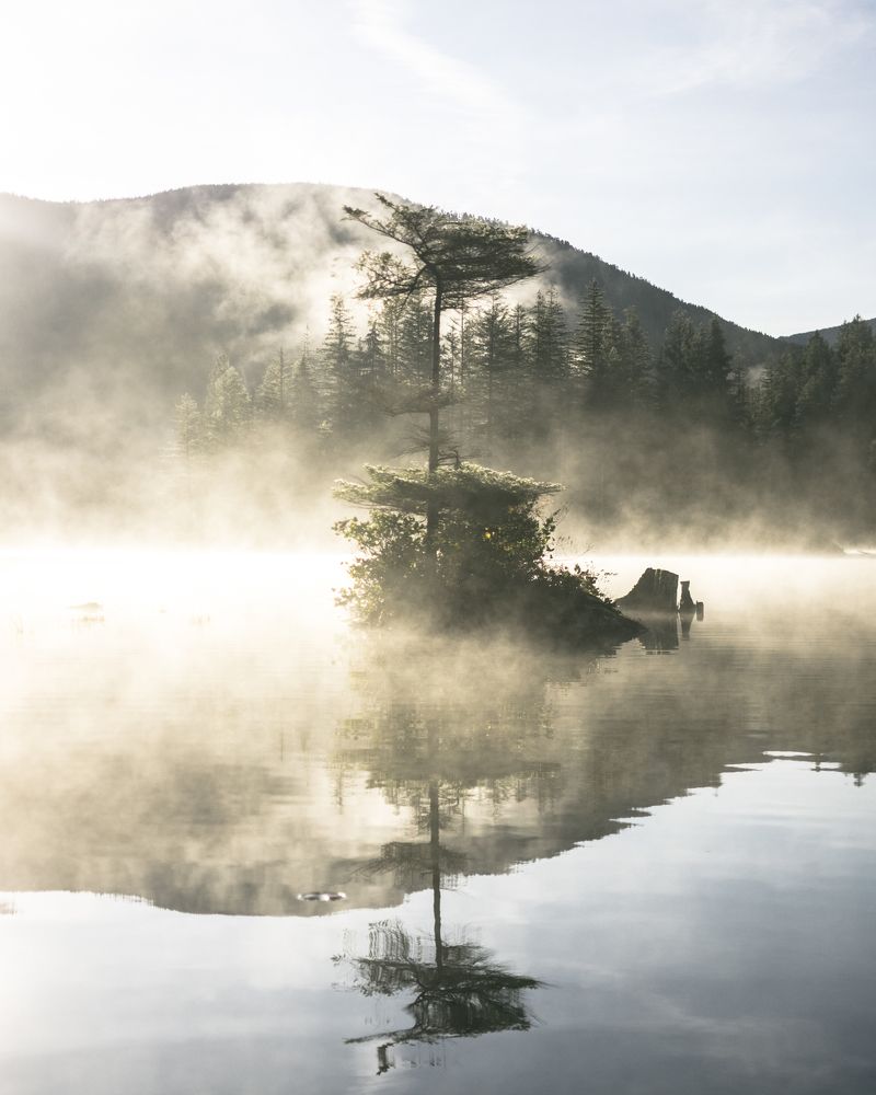 Into the mystic