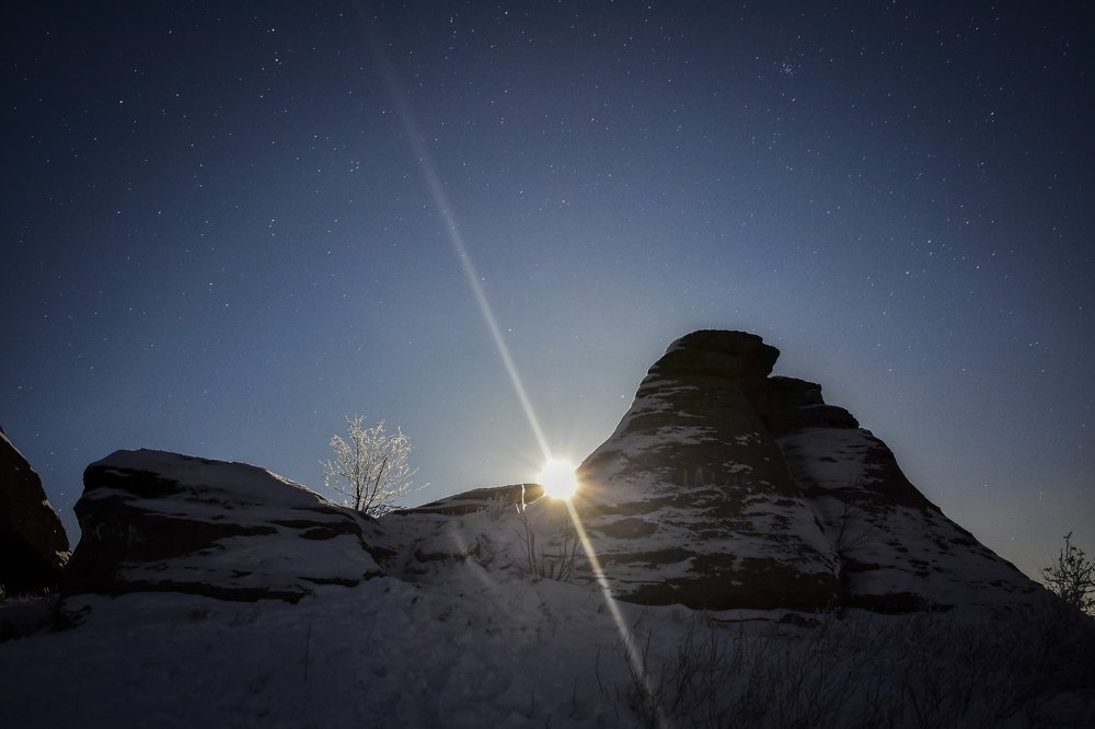 Лунные стражи