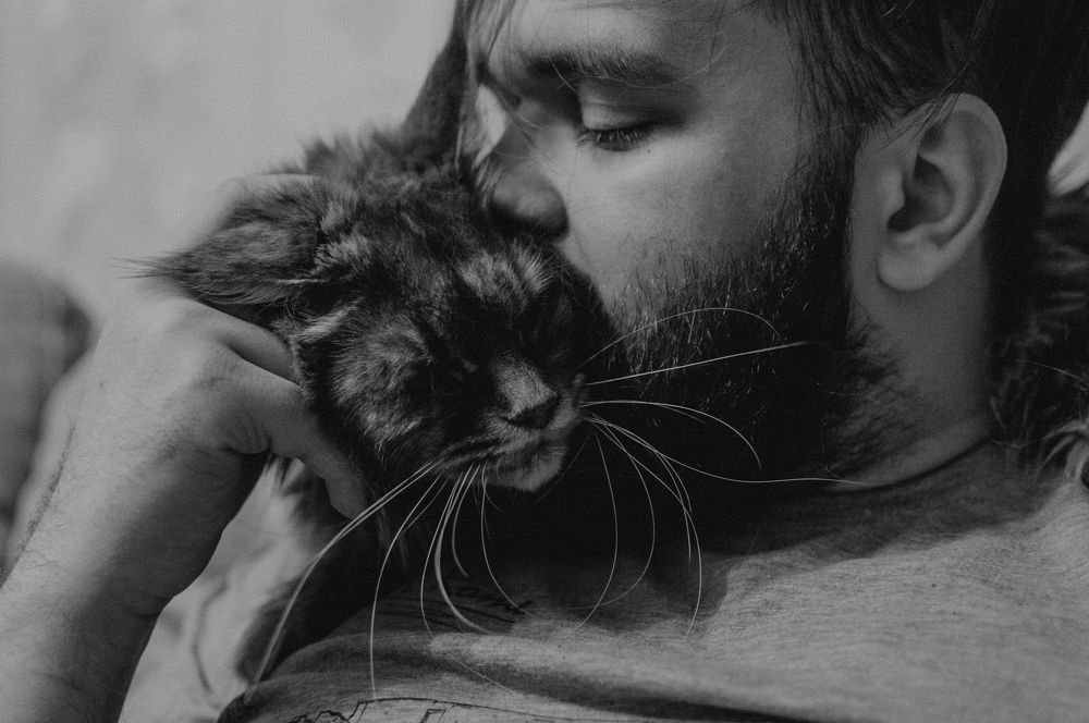 Любовь на кончиках лап