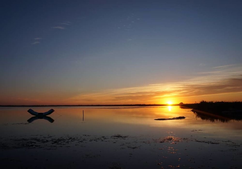 Фотография автора Елена Фролова