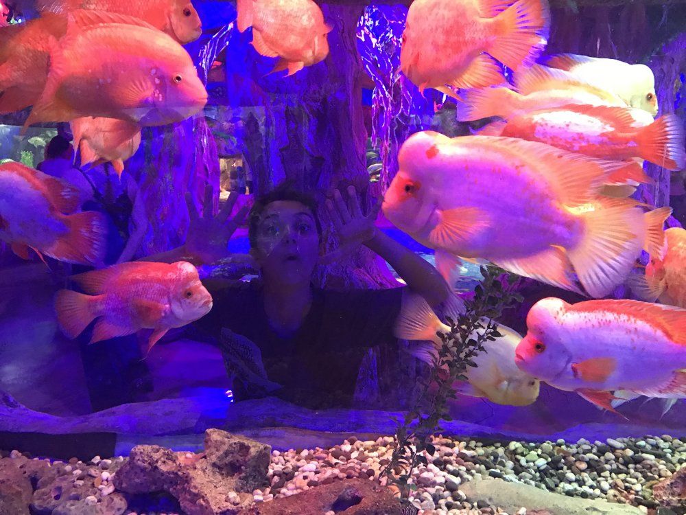 чужой в наших рядах))))