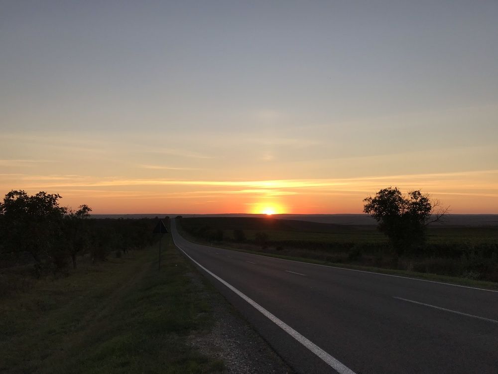 Закат в винограднике