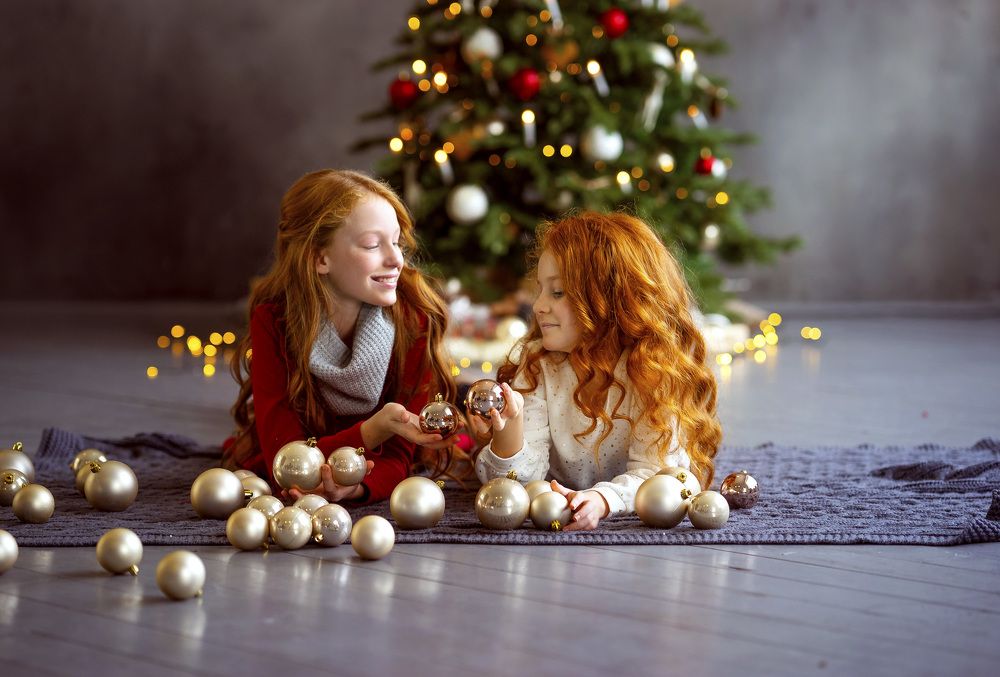 Рыжульки в ожидании праздника