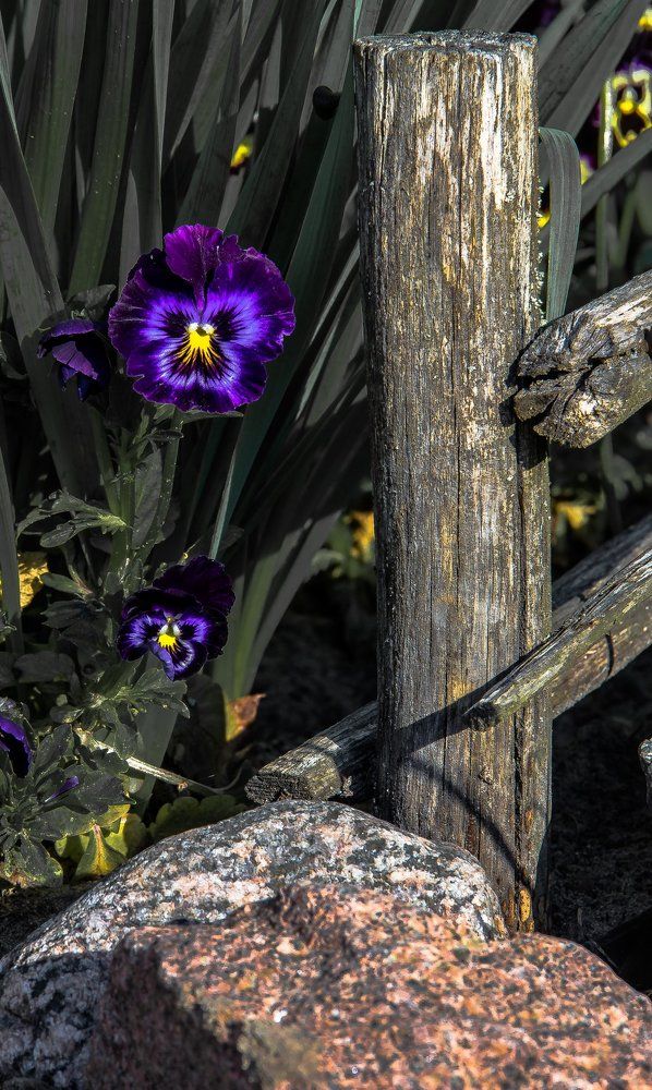 Photograph by Алексей Козлов