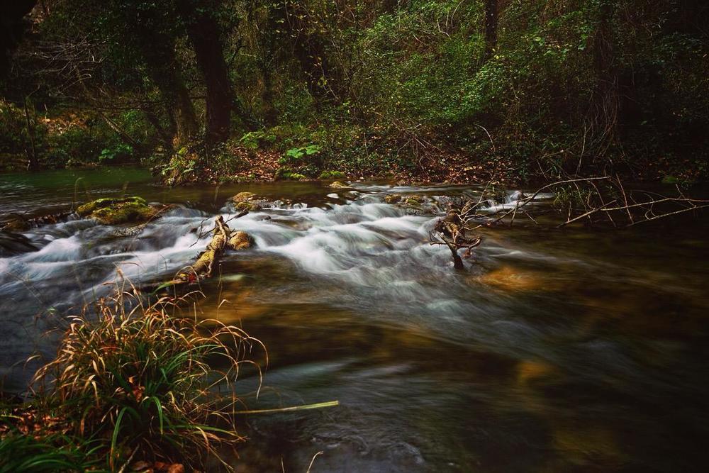 Италия Чинголи