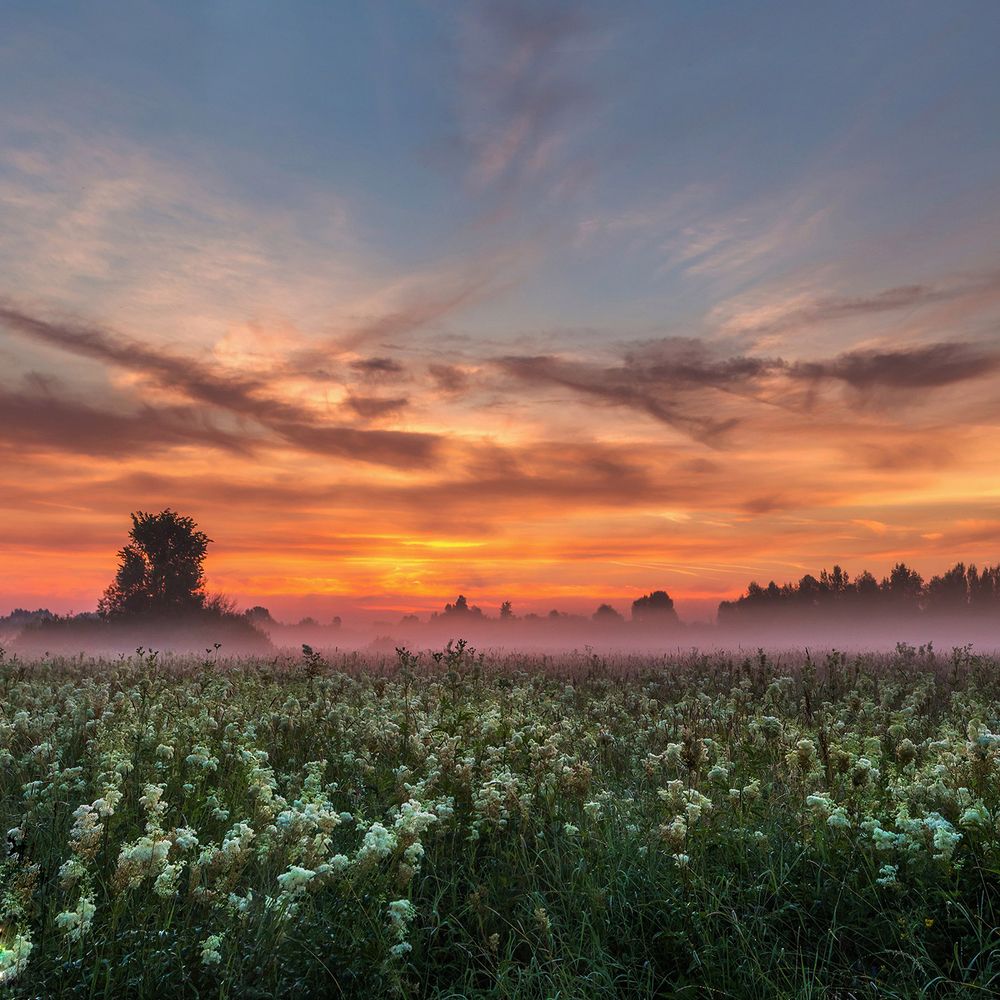 На рассвете