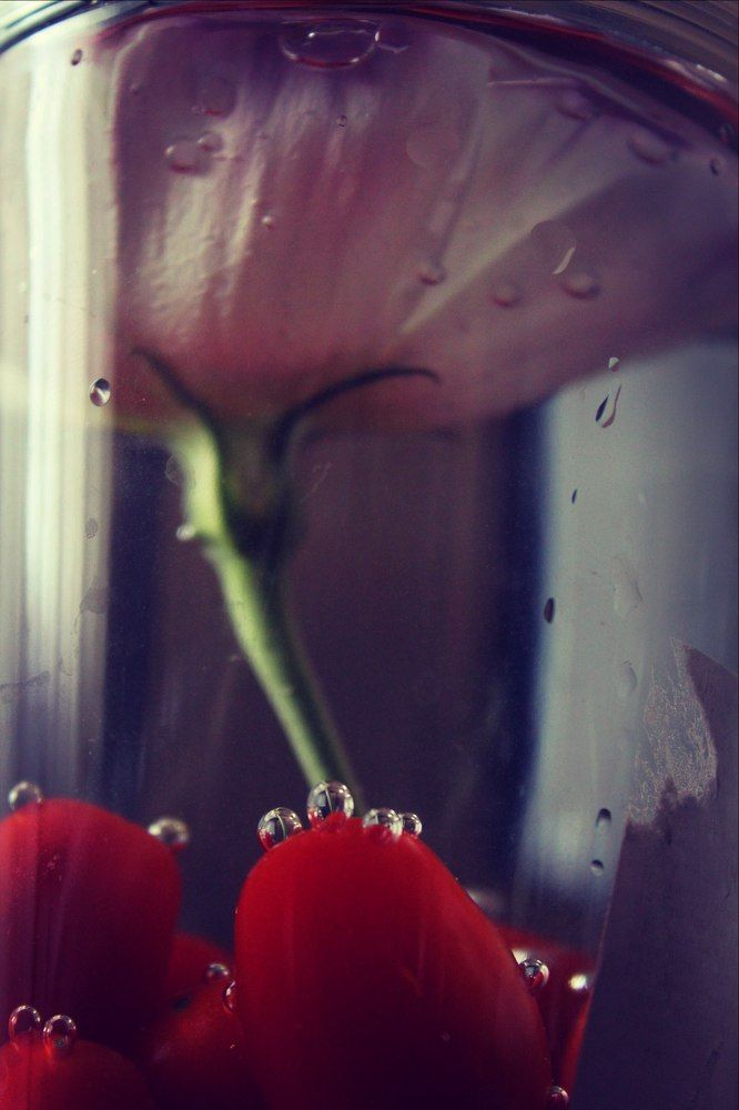 Цветочный Натюрморт