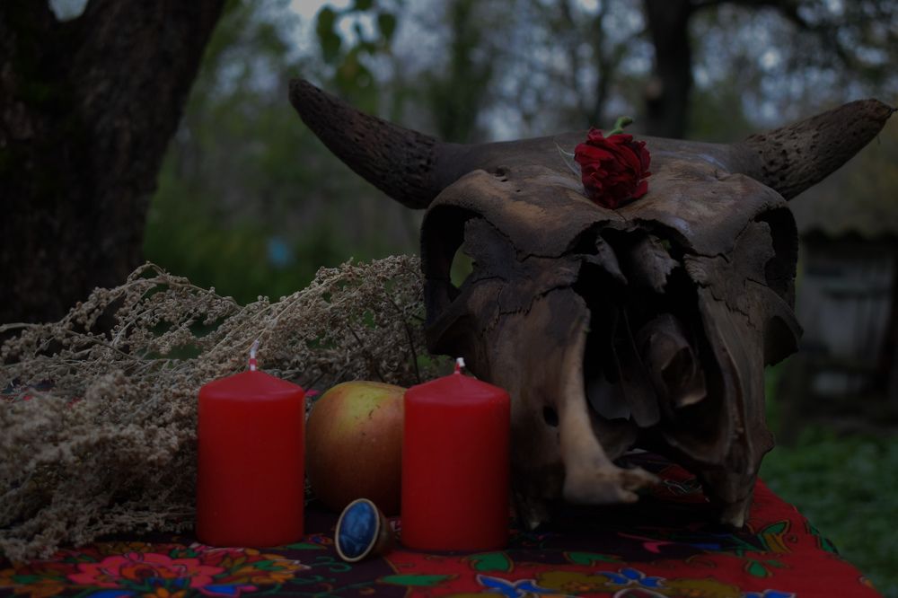 Photograph by Ирина Дашкова-Красникова