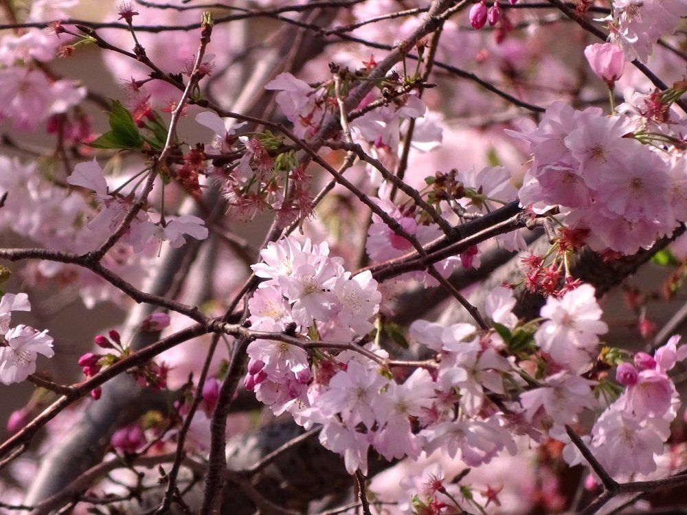 Photograph by Юлия