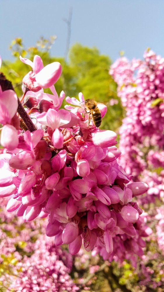 Photograph by Юлия