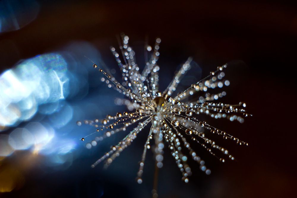 Хрустальные капли