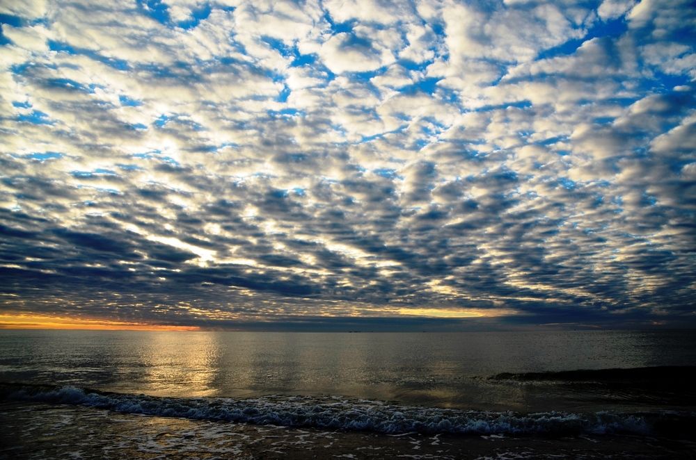 Photograph by Galina Baranovskaja