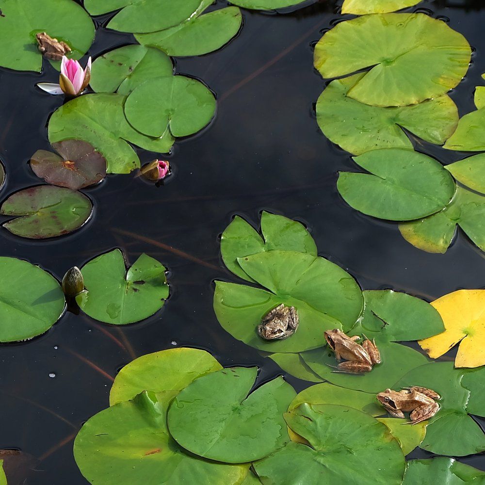 В ожидании .
