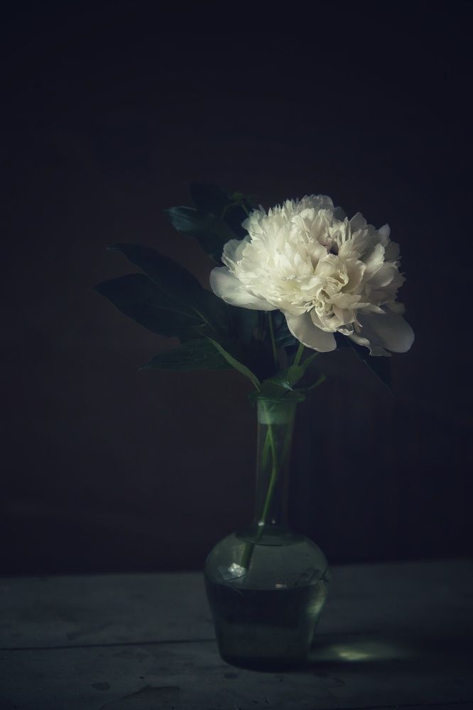 Photograph by Анжелика Сидорова