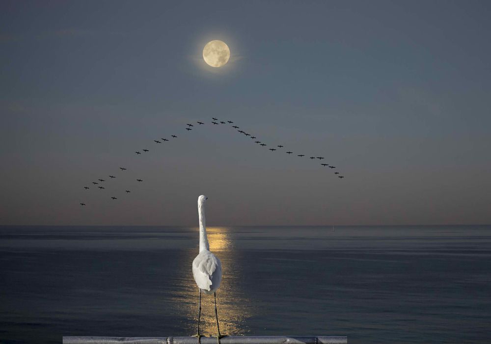 Photograph by Leonid Lan