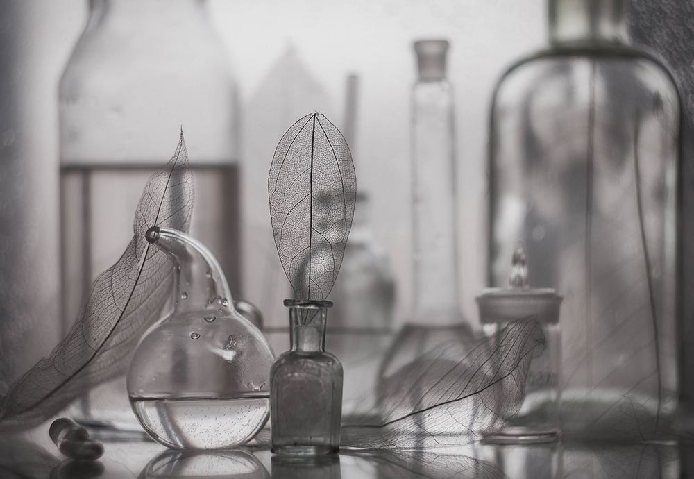 серое утро*