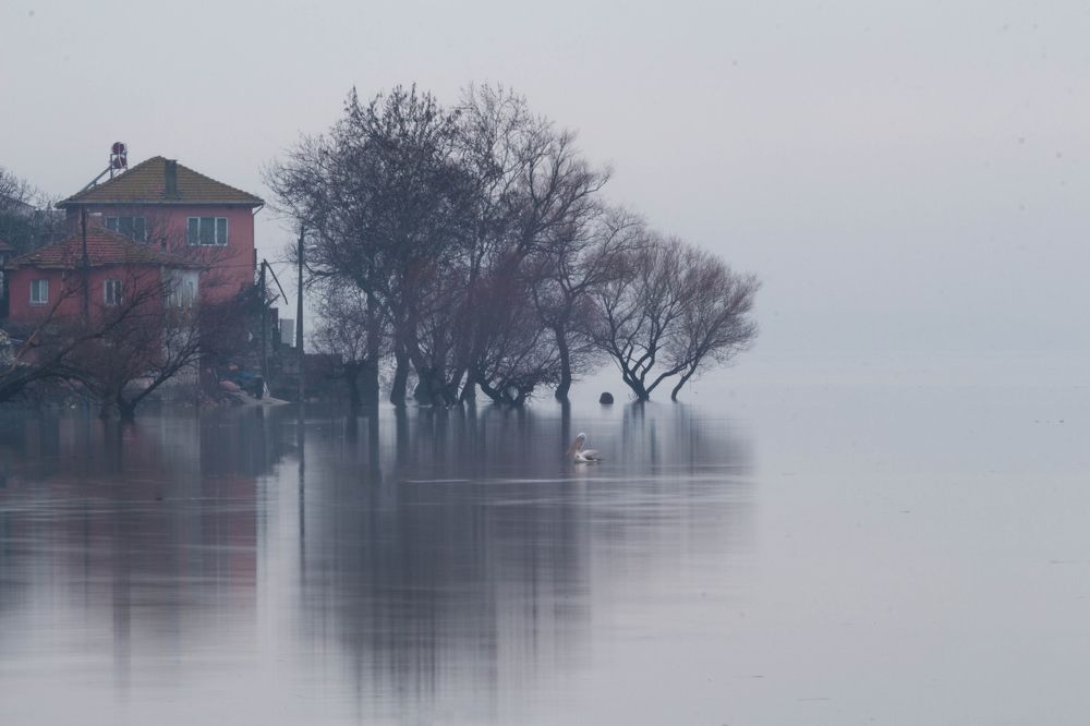 The Beauty of Quietness