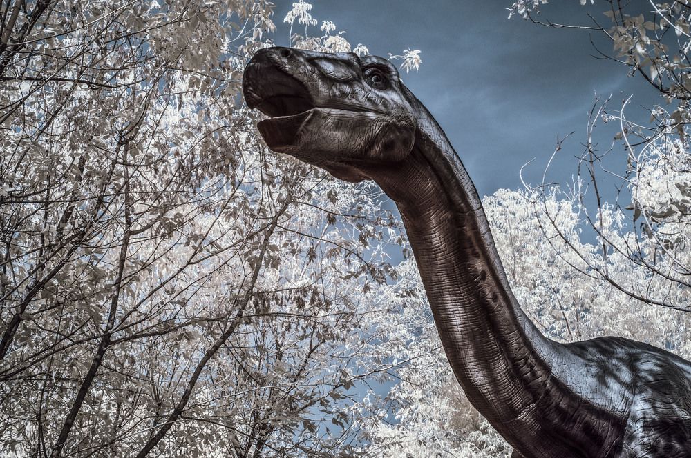 Jurassic Park (IR 680nm)