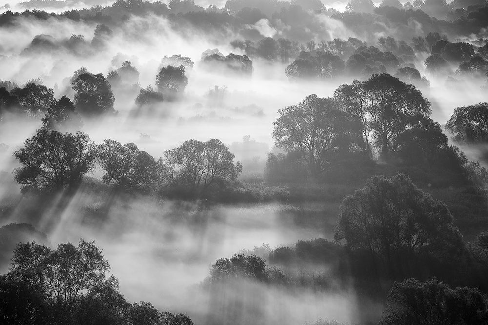 Летнее утро.