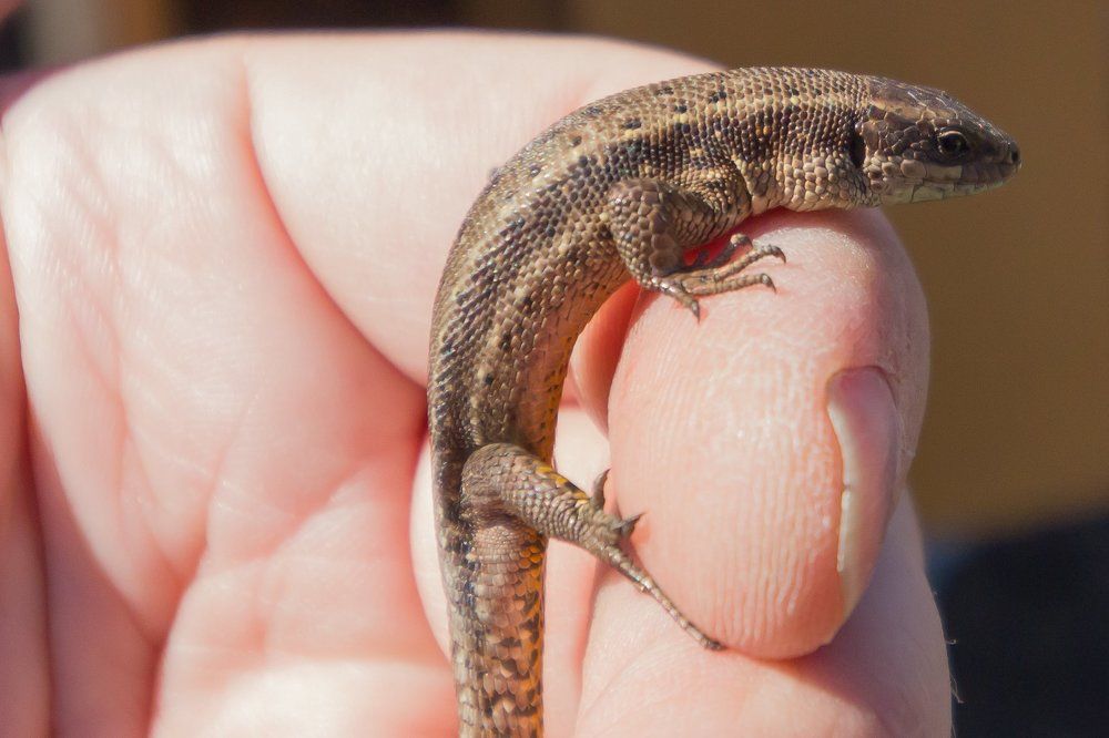 Photograph by Андрей Лекомцев