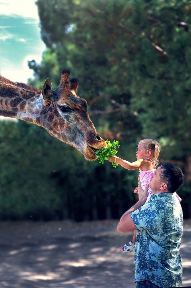 Папа может все, что угодно