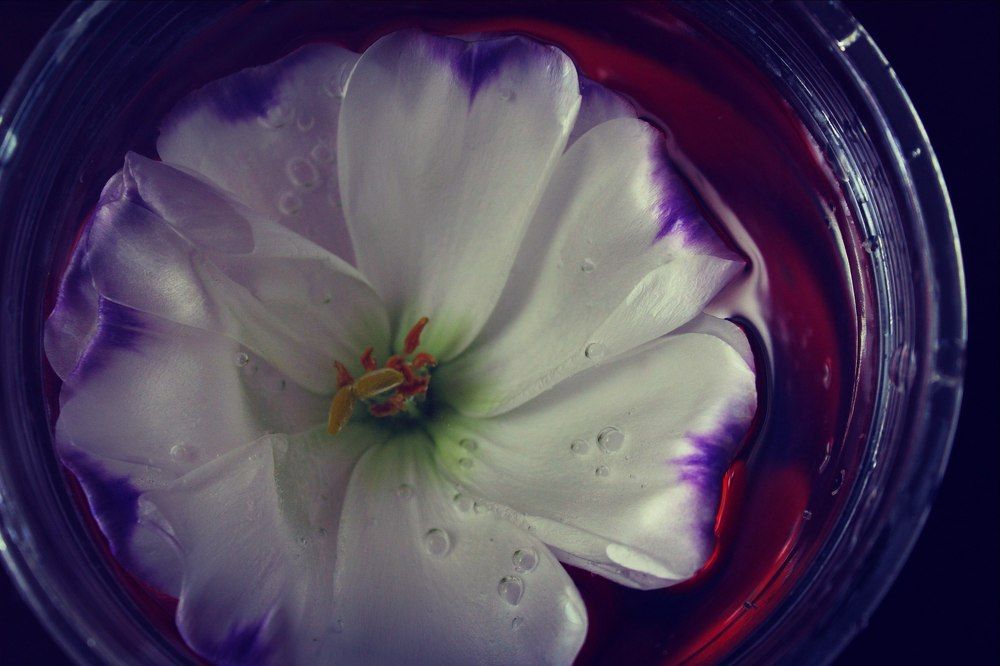 Цветочный Натюрморт