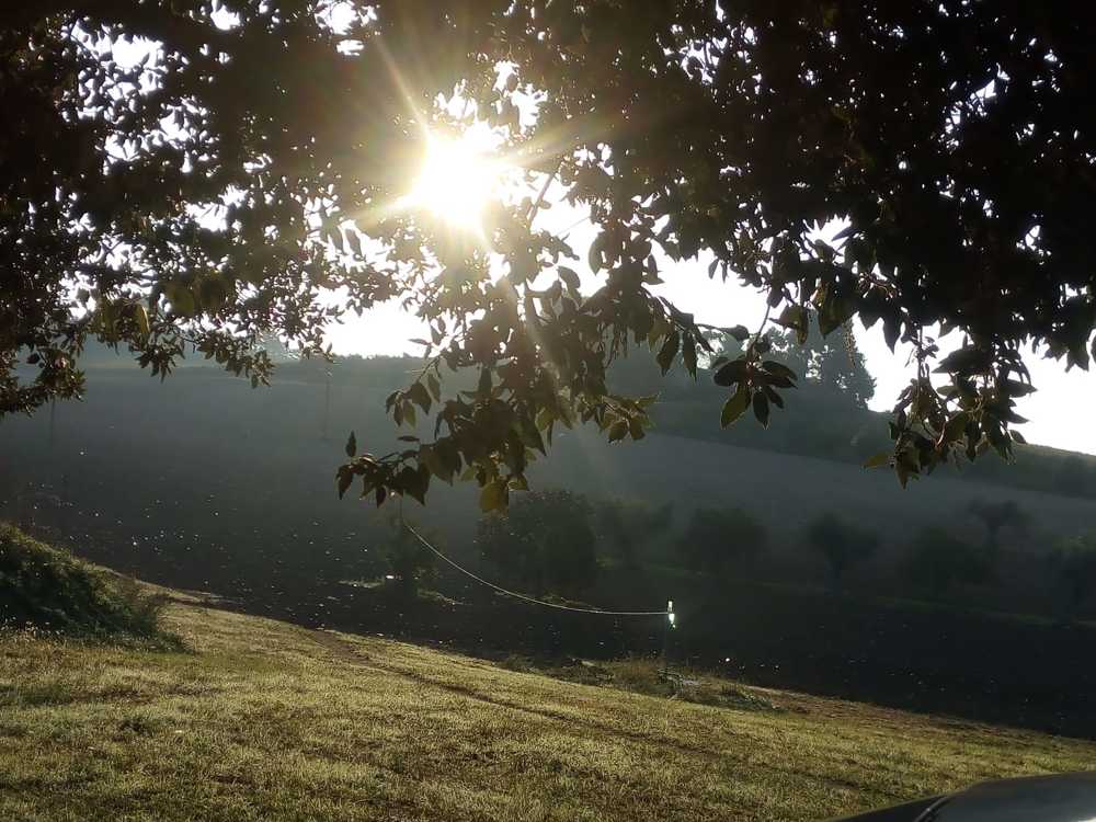 Sun rise