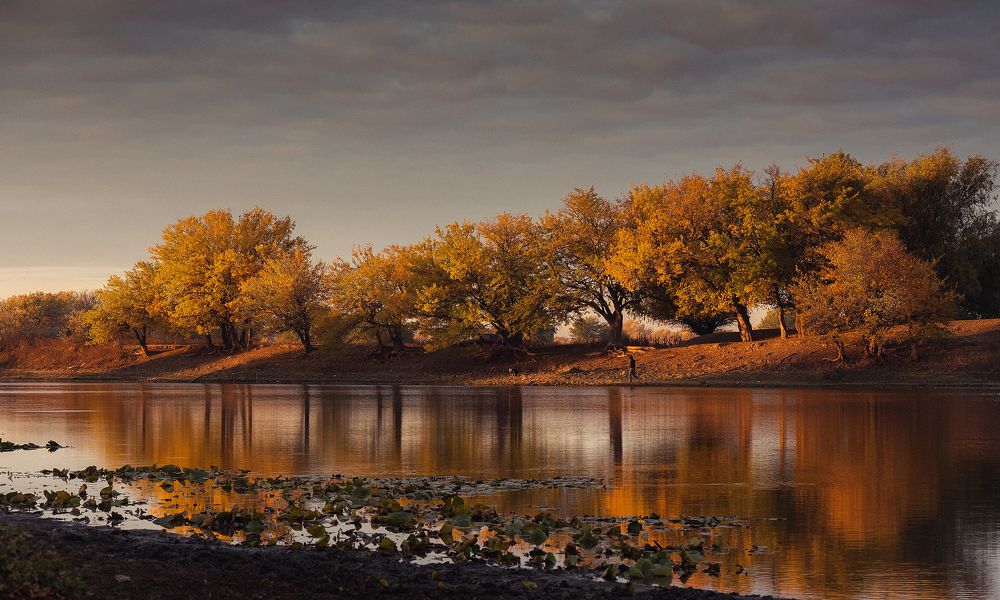 Утро у села Веселая Грива.