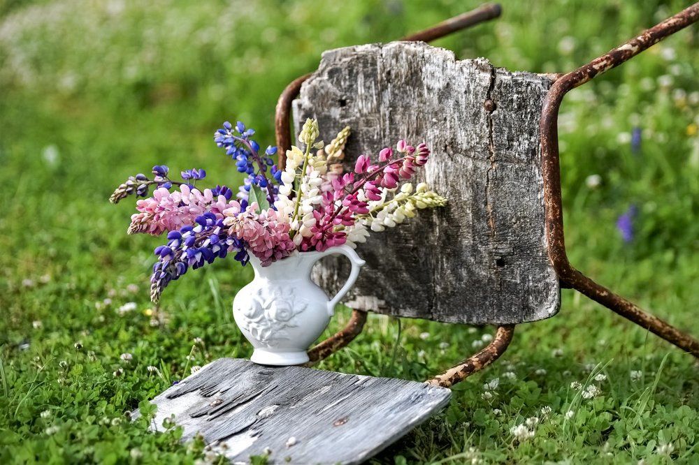 Натюрморт со страрым стулом