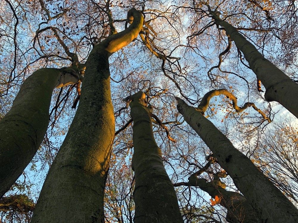 Только вверх