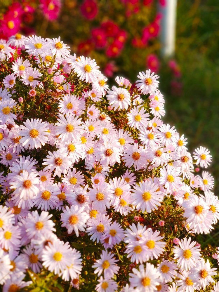 Утро доброе