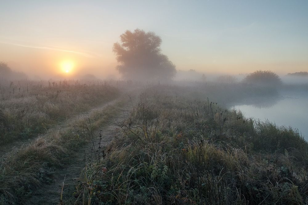 Осенний туман