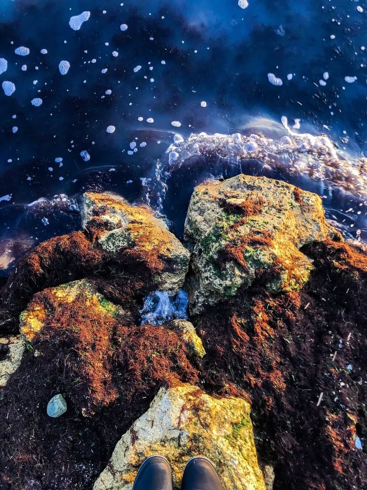 Море-ты космос