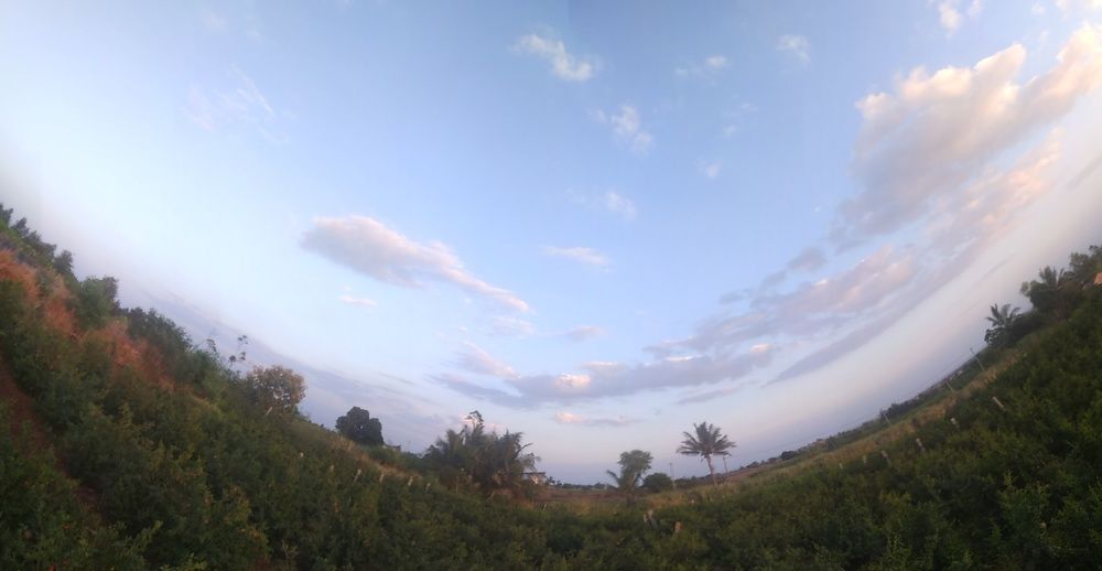 Curvy panorama