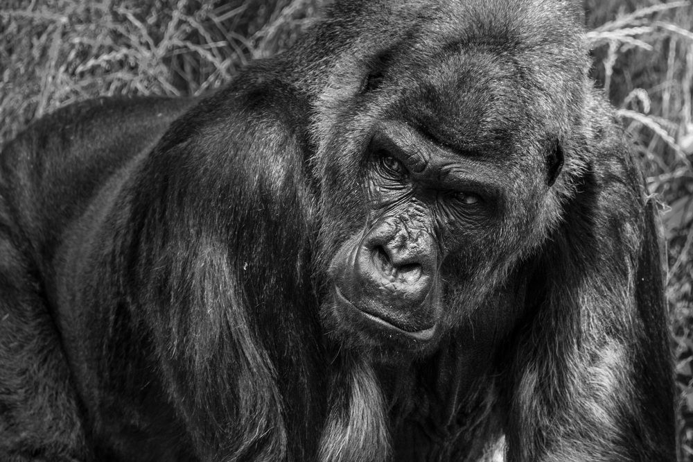 Фотография автора Максим Юрков